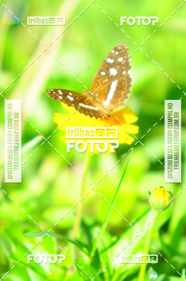 Buy your photos of the eventAudax Floirpa 300km on Fotop