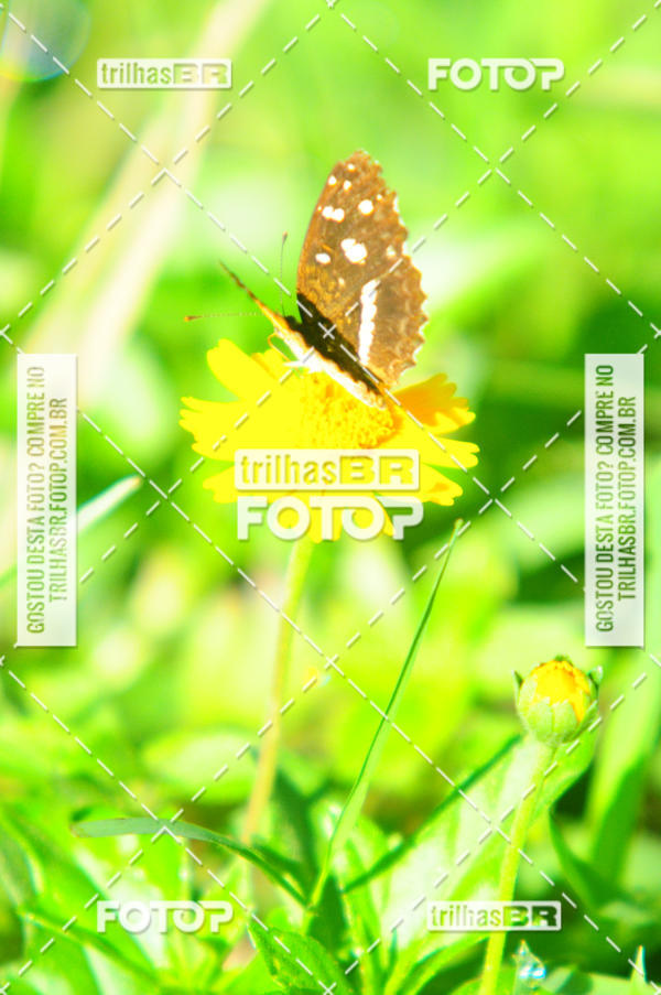 Buy your photos of the eventAudax Floirpa 300km on Fotop