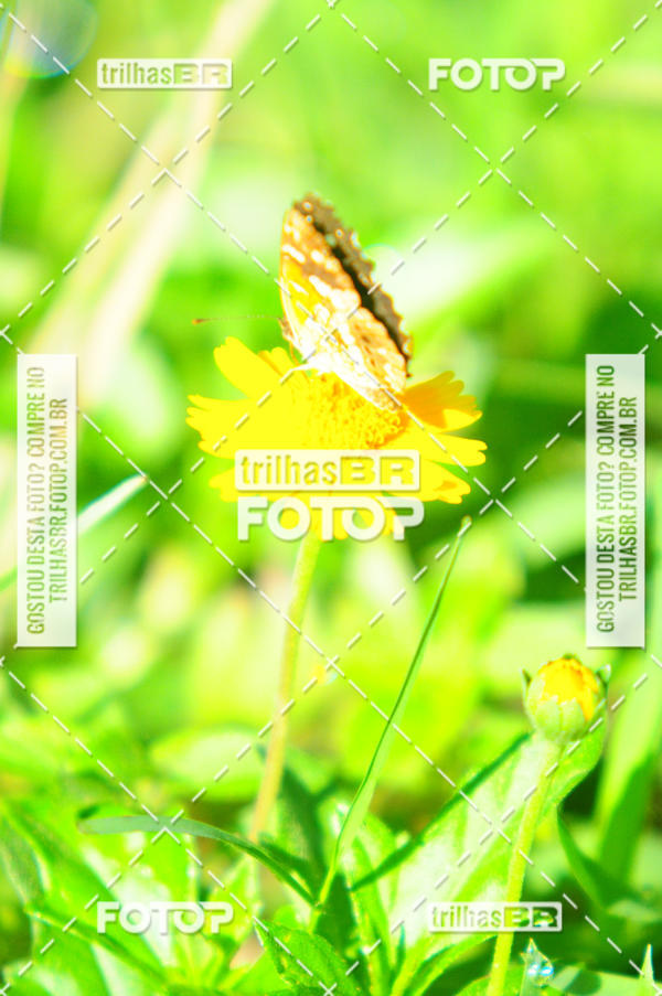 Buy your photos of the eventAudax Floirpa 300km on Fotop