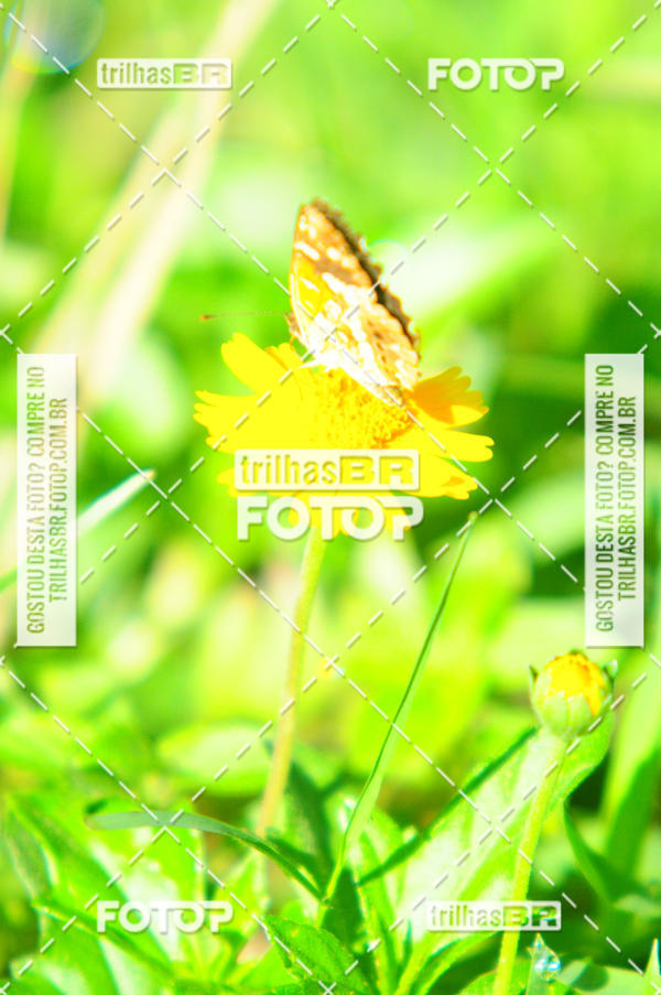 Buy your photos of the eventAudax Floirpa 300km on Fotop