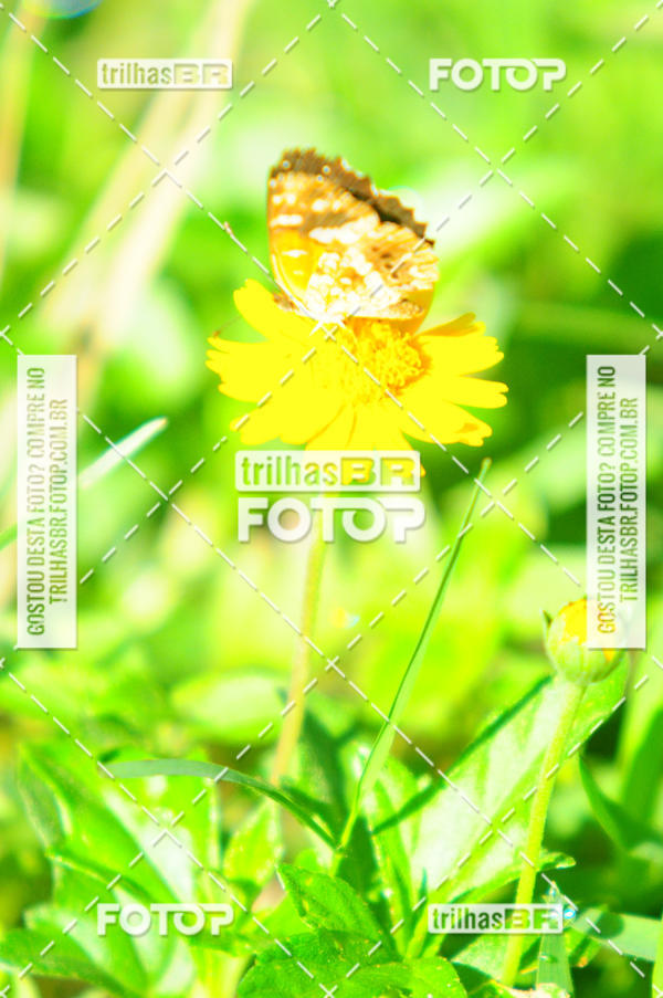 Buy your photos of the eventAudax Floirpa 300km on Fotop