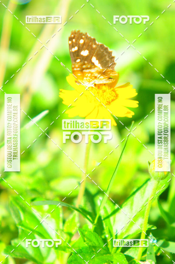 Buy your photos of the eventAudax Floirpa 300km on Fotop