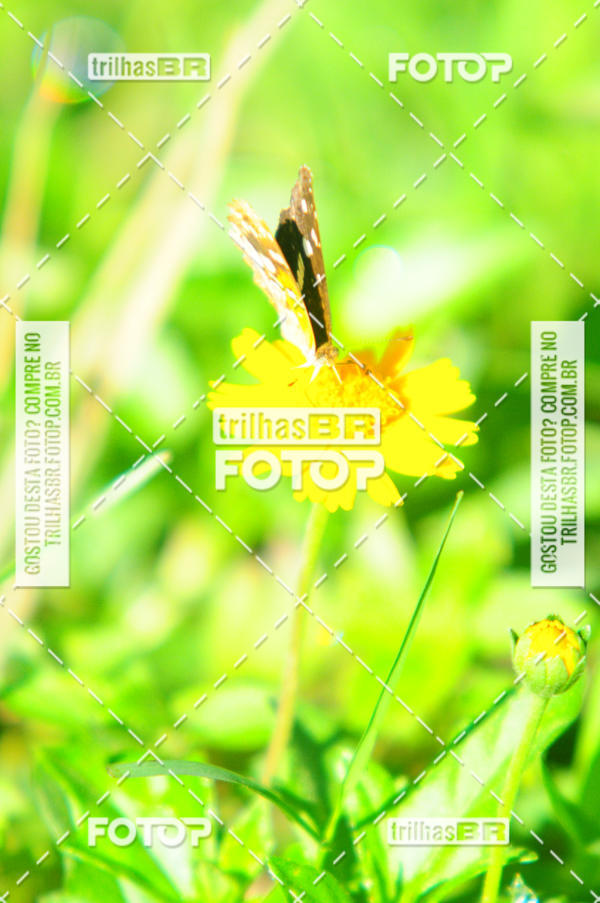 Buy your photos of the eventAudax Floirpa 300km on Fotop