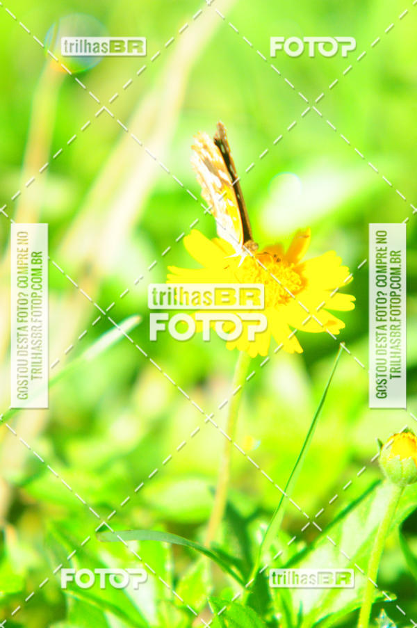 Buy your photos of the eventAudax Floirpa 300km on Fotop