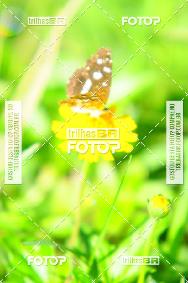 Buy your photos of the eventAudax Floirpa 300km on Fotop