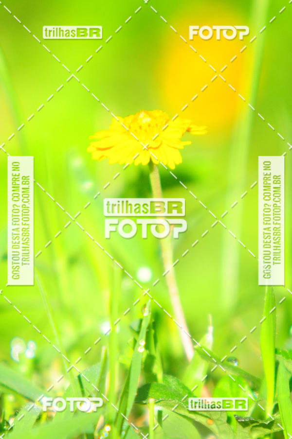 Buy your photos of the eventAudax Floirpa 300km on Fotop