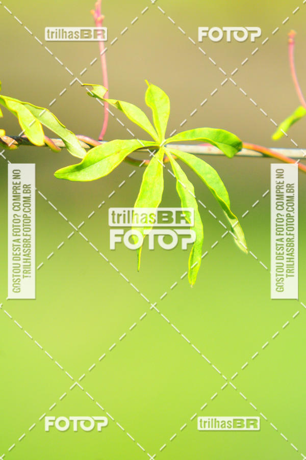 Buy your photos of the eventAudax Floirpa 300km on Fotop