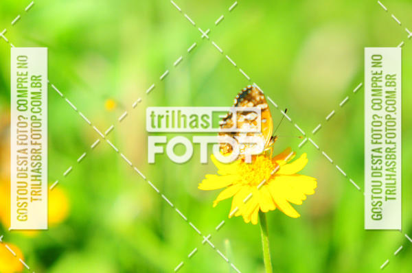 Buy your photos of the eventAudax Floirpa 300km on Fotop