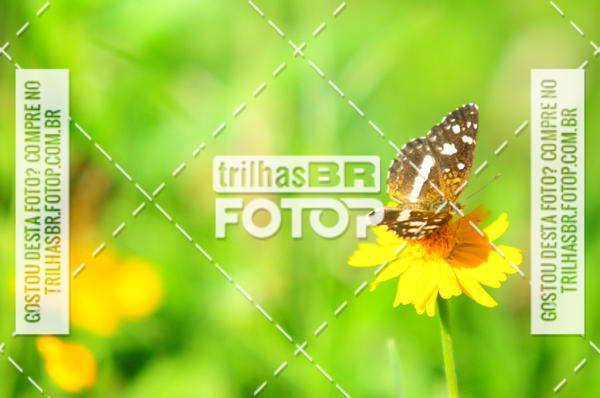 Buy your photos of the eventAudax Floirpa 300km on Fotop