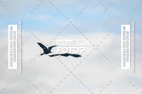 Buy your photos of the eventAudax Floripa 600km on Fotop