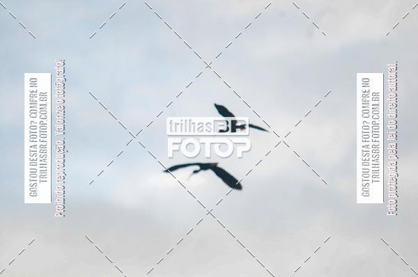 Buy your photos of the eventAudax Floripa 600km on Fotop