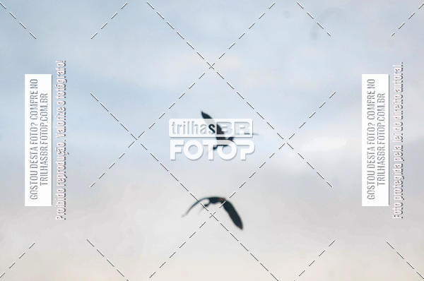 Buy your photos of the eventAudax Floripa 600km on Fotop