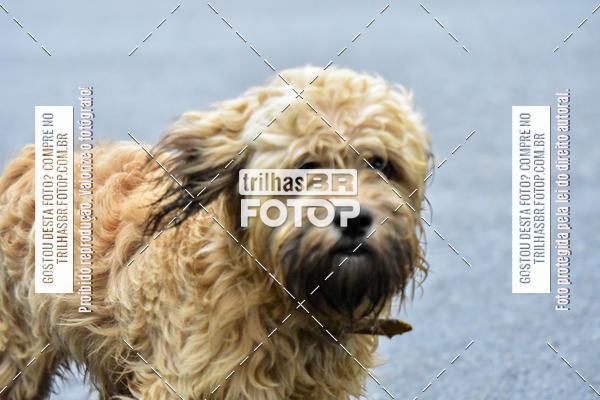 Buy your photos of the eventAudax Floripa de Inverno on Fotop