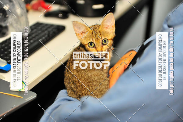 Buy your photos of the eventAudax Floripa de Inverno on Fotop