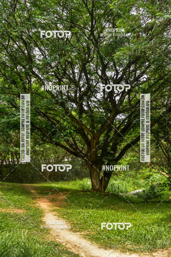 Buy your photos of the eventMTB 12H DO BRASIL on Fotop