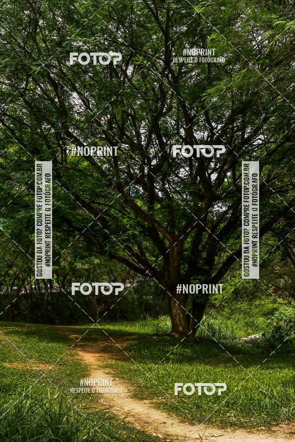 Buy your photos of the eventMTB 12H DO BRASIL on Fotop