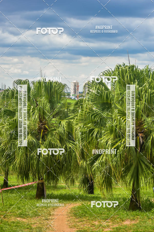 Buy your photos of the eventMTB 12H DO BRASIL on Fotop