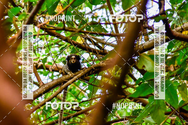 Buy your photos of the eventMTB 12H DO BRASIL on Fotop