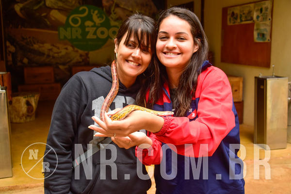 Buy your photos of the eventNR Sun 24 a 28/10/18 on Fotop