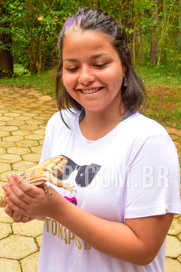 Buy your photos of the eventNR Sun 24 a 28/10/18 on Fotop