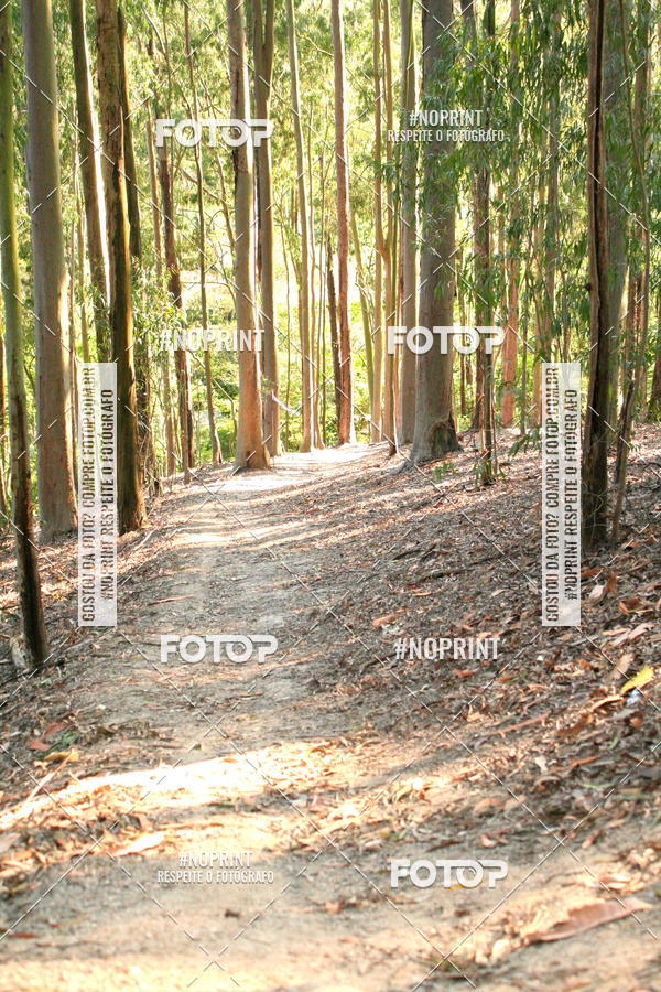 Buy your photos of the eventDesafio tupinamb -Nit Running - Treino- 2018 on Fotop