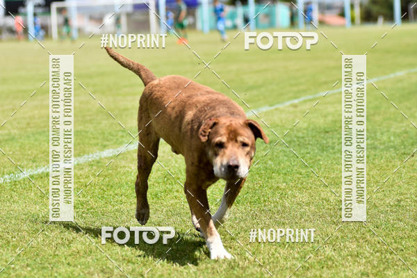 Buy your photos of the eventESTADUAL GAUCH�O SUB-15 ESPORTE CLUBE NOVO HAMBURGO X JUVENTUDE on Fotop