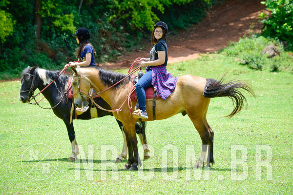 Buy your photos of the eventNR SUN 28 A 31/10/18 on Fotop