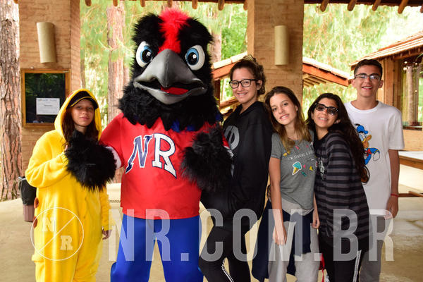 Buy your photos of the eventNR SUN 28 A 31/10/18 on Fotop