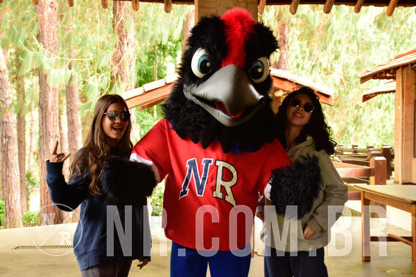 Buy your photos of the eventNR SUN 28 A 31/10/18 on Fotop