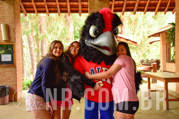 Buy your photos of the eventNR SUN 28 A 31/10/18 on Fotop