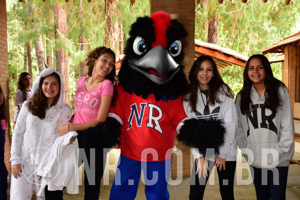 Buy your photos of the eventNR SUN 28 A 31/10/18 on Fotop