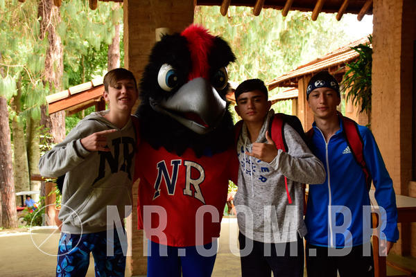 Buy your photos of the eventNR SUN 28 A 31/10/18 on Fotop