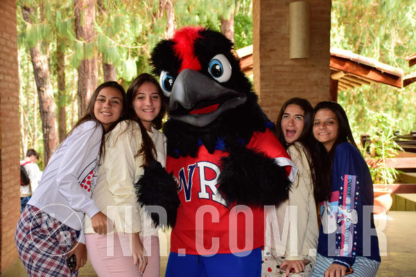 Buy your photos of the eventNR SUN 28 A 31/10/18 on Fotop