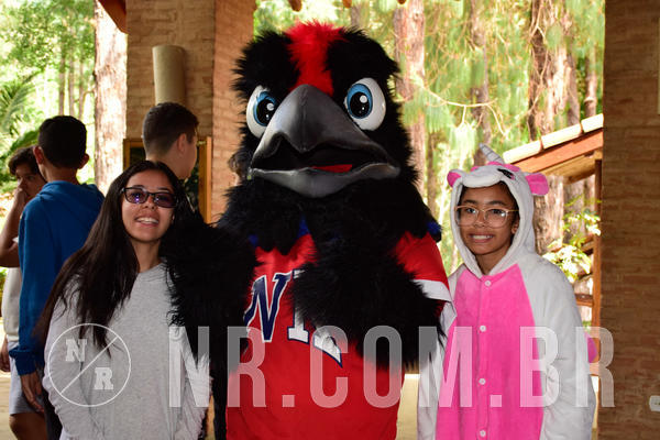 Buy your photos of the eventNR SUN 28 A 31/10/18 on Fotop