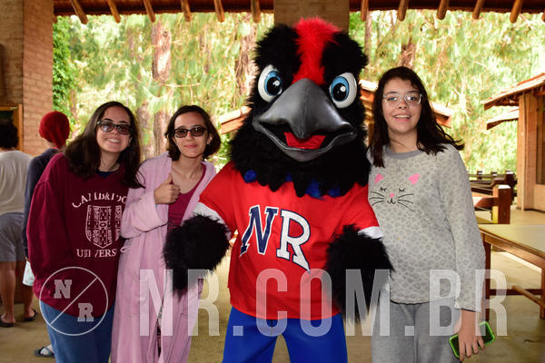 Buy your photos of the eventNR SUN 28 A 31/10/18 on Fotop