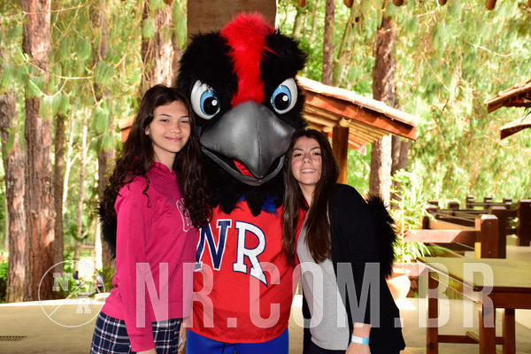 Buy your photos of the eventNR SUN 28 A 31/10/18 on Fotop