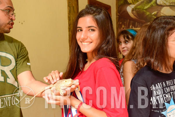 Buy your photos of the eventNR SUN 28 A 31/10/18 on Fotop