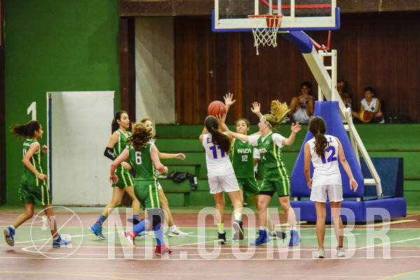 Buy your photos of the eventNR2 Little 8  - 28 a 31/10/18 - Basquete on Fotop