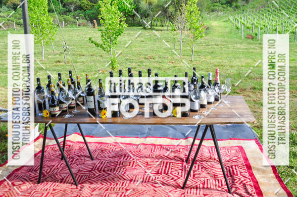 Buy your photos of the eventCIRCUITO DOS VINHEDOS - VINHOS DE ALTITUDE on Fotop