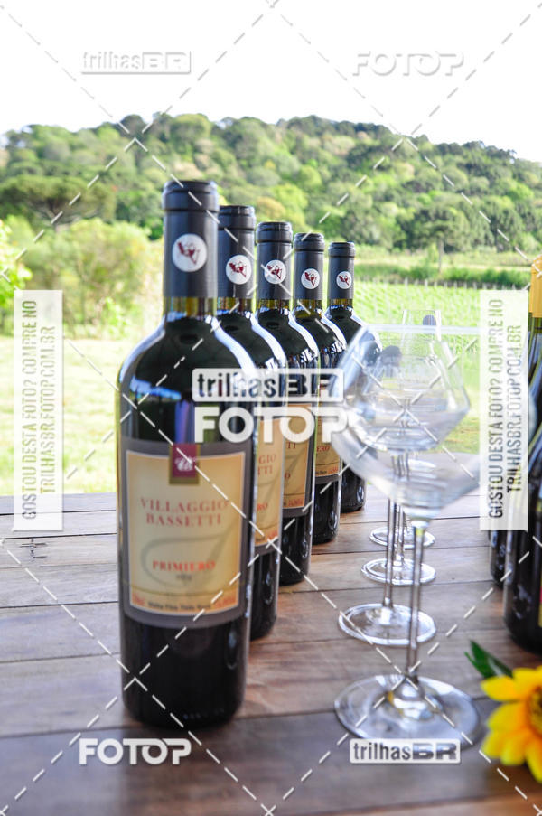 Buy your photos of the eventCIRCUITO DOS VINHEDOS - VINHOS DE ALTITUDE on Fotop