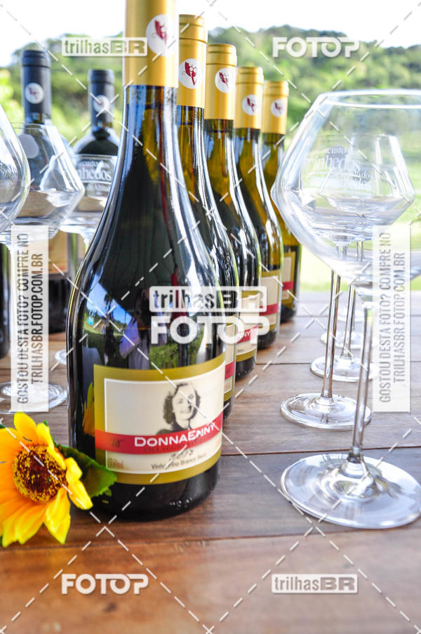 Buy your photos of the eventCIRCUITO DOS VINHEDOS - VINHOS DE ALTITUDE on Fotop