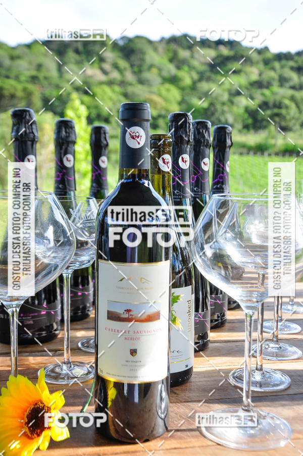 Buy your photos of the eventCIRCUITO DOS VINHEDOS - VINHOS DE ALTITUDE on Fotop