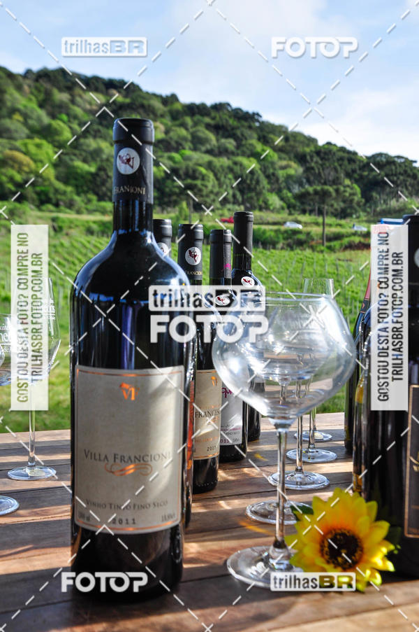 Buy your photos of the eventCIRCUITO DOS VINHEDOS - VINHOS DE ALTITUDE on Fotop