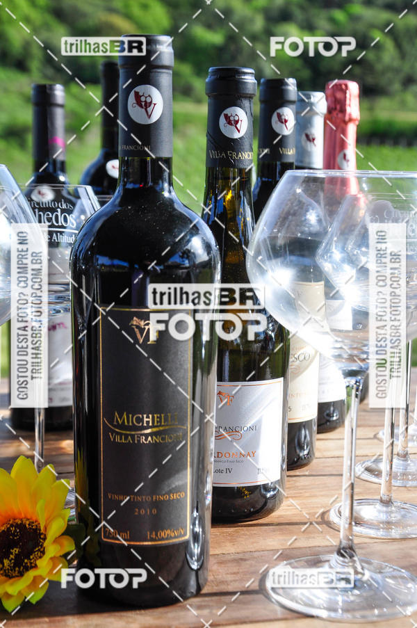 Buy your photos of the eventCIRCUITO DOS VINHEDOS - VINHOS DE ALTITUDE on Fotop