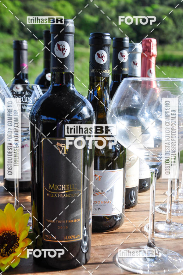 Buy your photos of the eventCIRCUITO DOS VINHEDOS - VINHOS DE ALTITUDE on Fotop