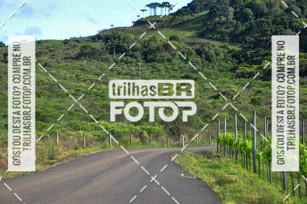 Buy your photos of the eventCIRCUITO DOS VINHEDOS - VINHOS DE ALTITUDE on Fotop