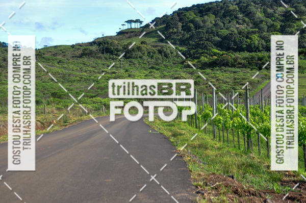 Buy your photos of the eventCIRCUITO DOS VINHEDOS - VINHOS DE ALTITUDE on Fotop