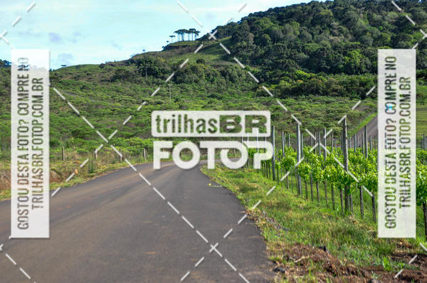 Buy your photos of the eventCIRCUITO DOS VINHEDOS - VINHOS DE ALTITUDE on Fotop