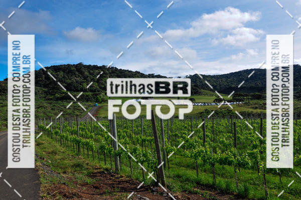 Buy your photos of the eventCIRCUITO DOS VINHEDOS - VINHOS DE ALTITUDE on Fotop