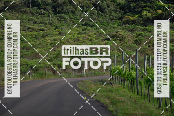 Buy your photos of the eventCIRCUITO DOS VINHEDOS - VINHOS DE ALTITUDE on Fotop